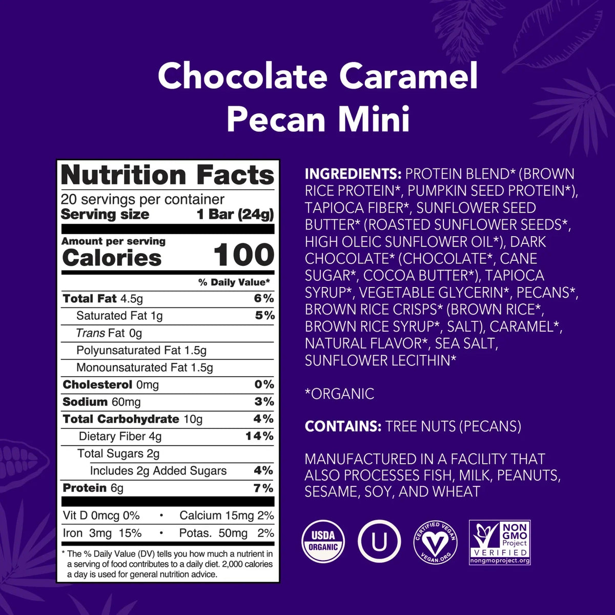 Chocolate Caramel Pecan - Mini Bars - Plant-Based Fuel for Busy Days V0